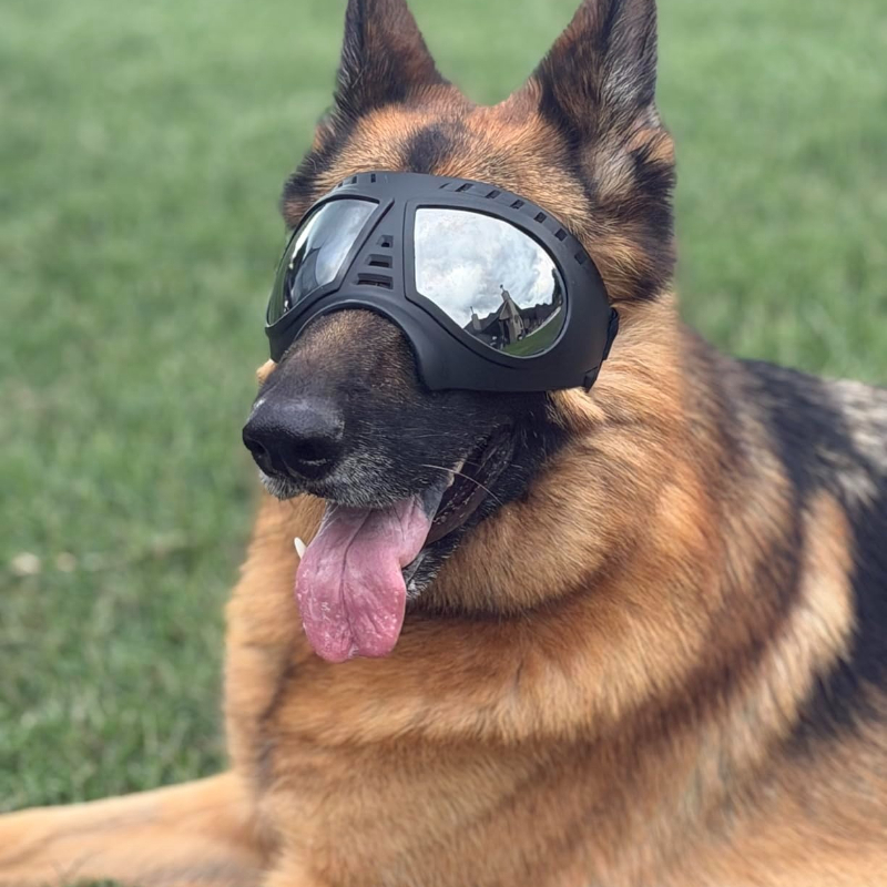Pet Glasses for medium large-s - Sunglass Retainer Cord recension och pris